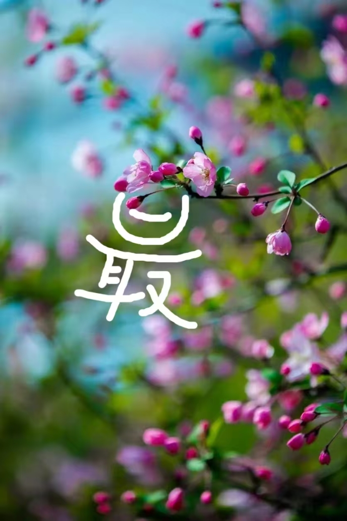 Chun Guang 8