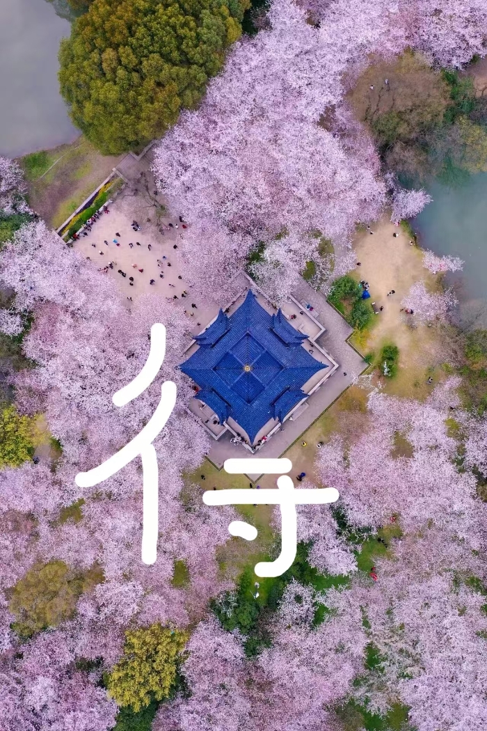 스프링 라이트 10