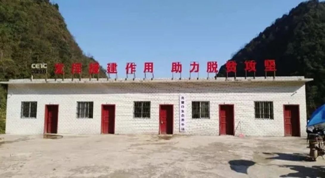 온라인 카지노 사이트